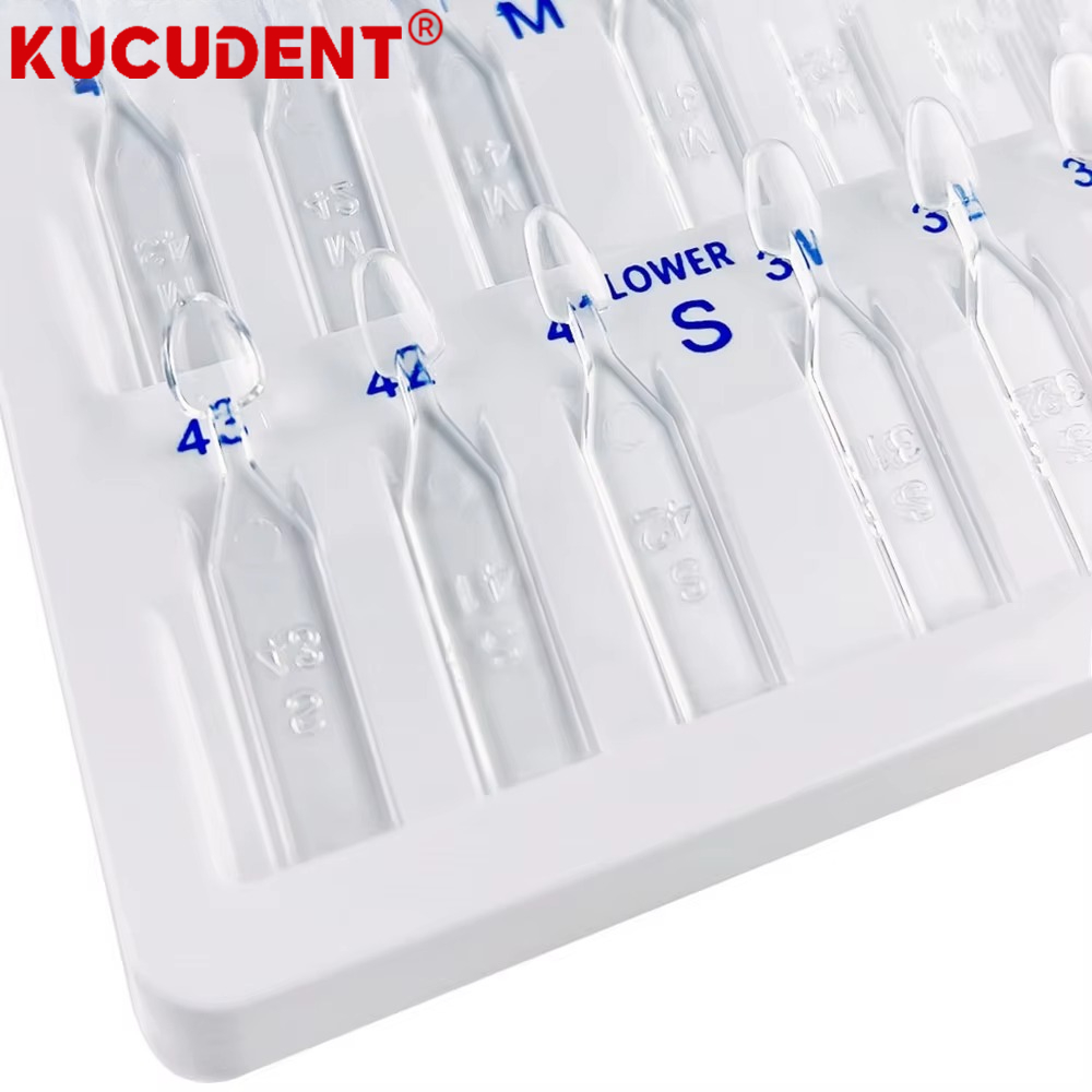30Pcs/Set Dental Veneer Mould  - Teeth Whitening Moulds 评论和价格