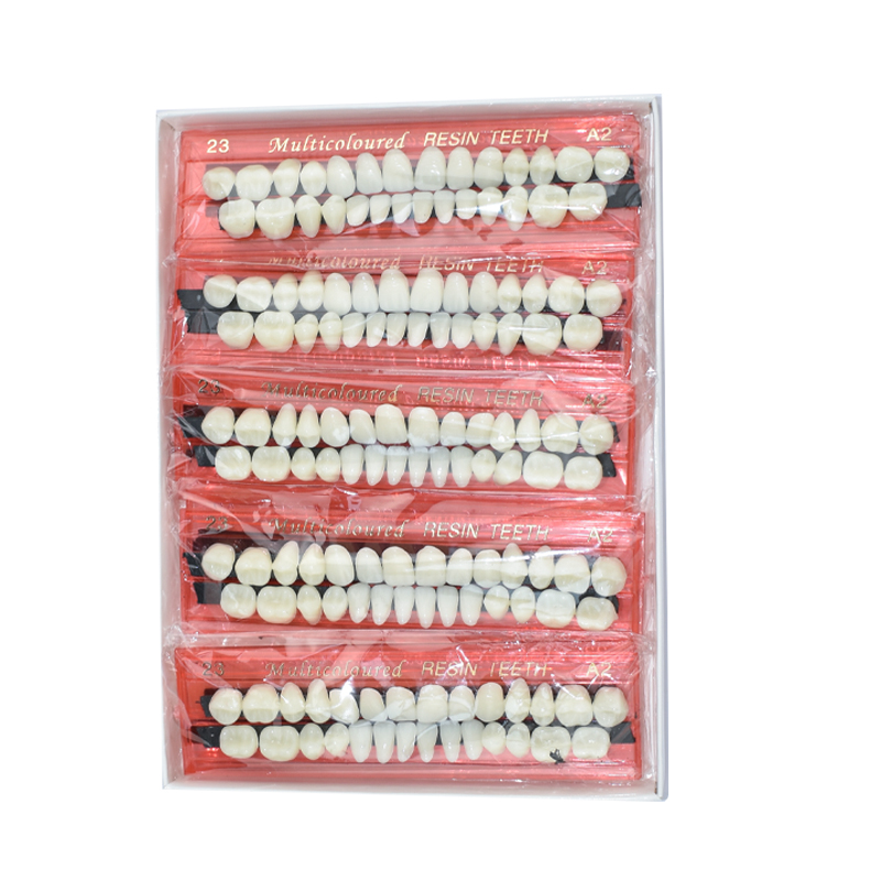 28 Teeth Dental Resin Denture  - Teeth Whitening Kit 评论和价格