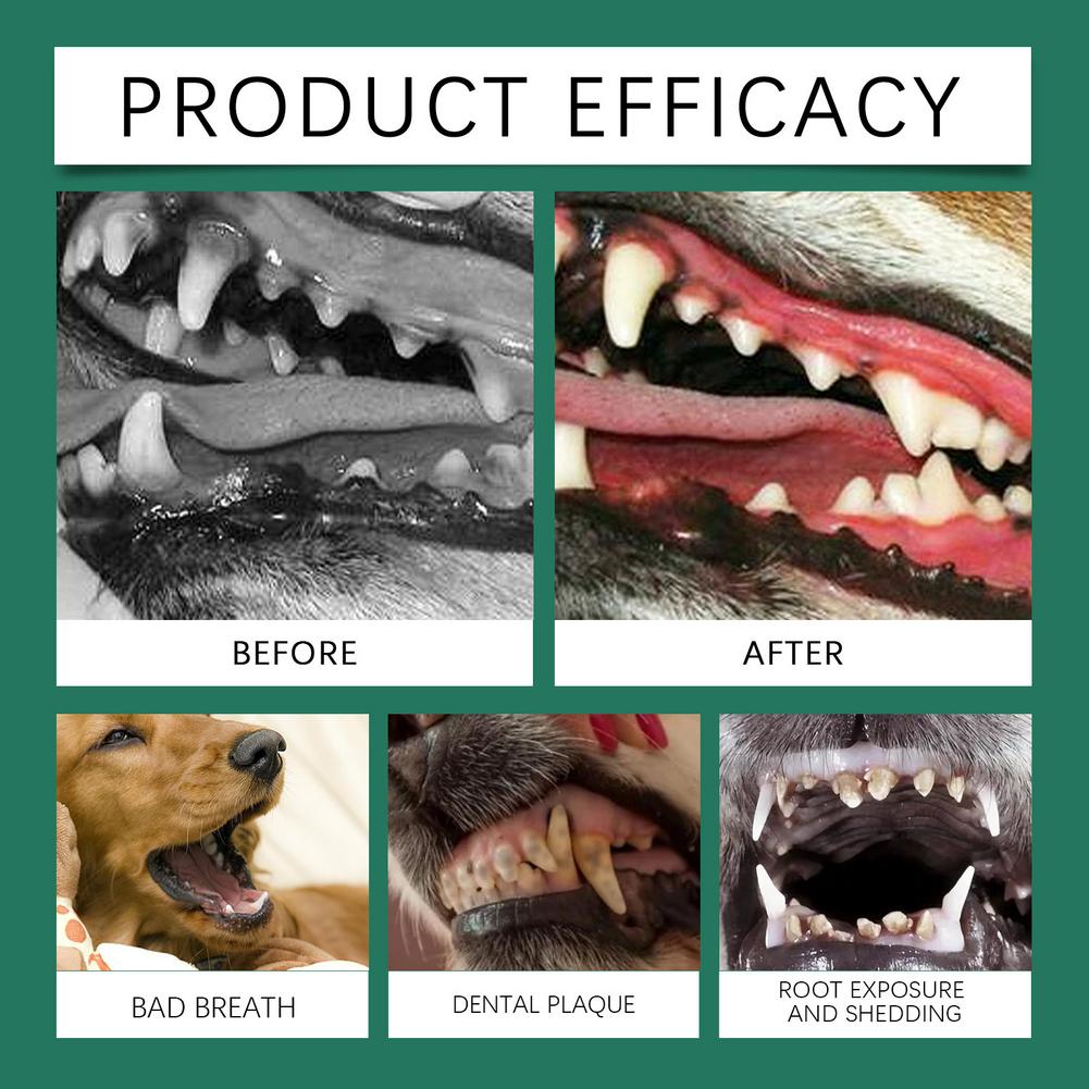 Dog Teeth Cleaning Powder Remo - Teeth Whitening Near Me 评论和价格